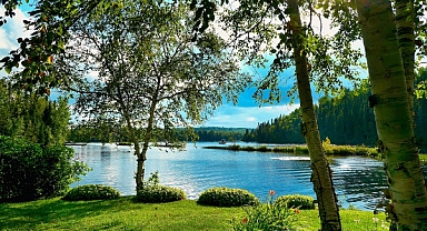 Bakan Yumaklı, Dünya Biyolojik Çeşitlilik Günü'nü kutladı