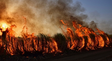 Çanakkale'deki orman yangını kontrol altına alındı