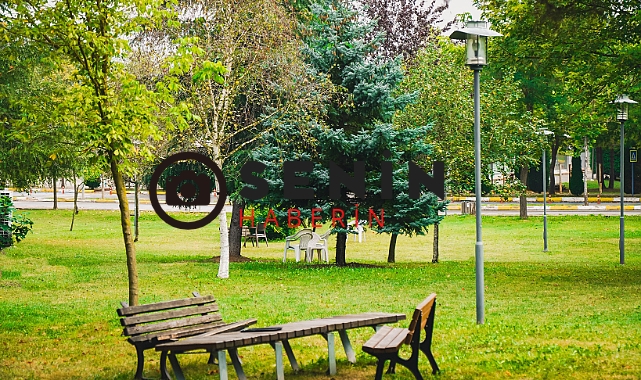 SAÜ Dünyada 1183 Türkiyede 14 inci