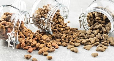 91 Ülkedeki Patili Dostlar Türkiye'den Besleniyor