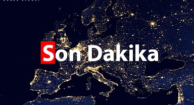 Sahipsiz hayvanlara yönelik düzenlemeleri içeren kanun teklifi TBMM’ye sunuldu