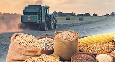 Tarım Ürünleri Üretici Fiyat Endeksi (Tarım-ÜFE) Temmuz Verileri Açıklandı