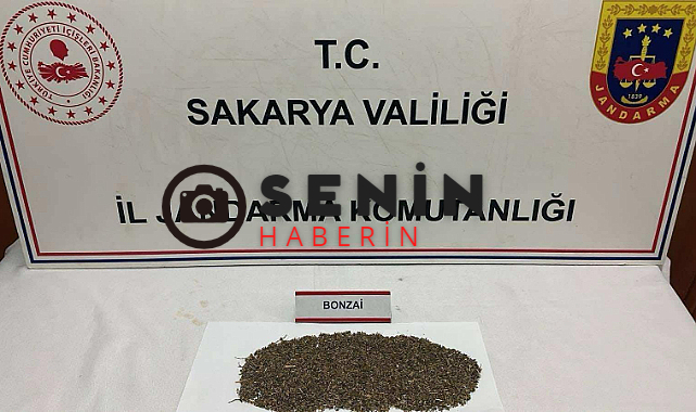 Anadolu Oto Yolunda Takip Ettikleri Araçta 150 Gram Bonzai Yakalandı