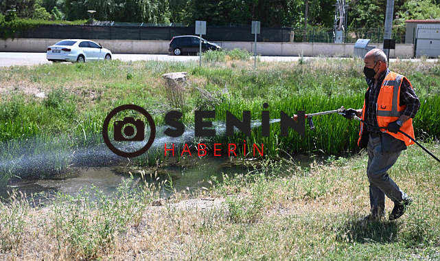 Kırşehir Belediyesi Şehri İlaçlamaya Devam Ediyor !