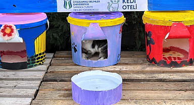 Geri dönüştürülen kovalar kedi oteline dönüştü