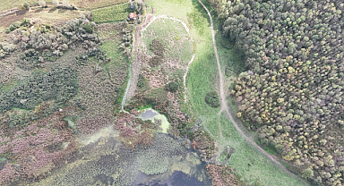 Gölkent Muhtarı Yılmaz'dan Akgöl İçin Acil Çağrı: 