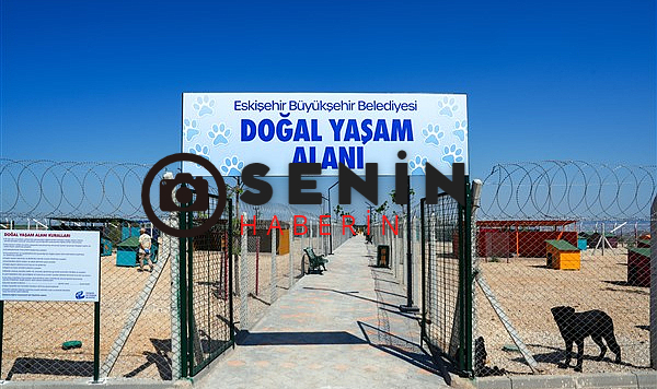 Büyükşehirden Doğal Yaşam Alanında yaşandığı iddia edilen bir olayla ilgili servis edilen görüntüler İncelendi