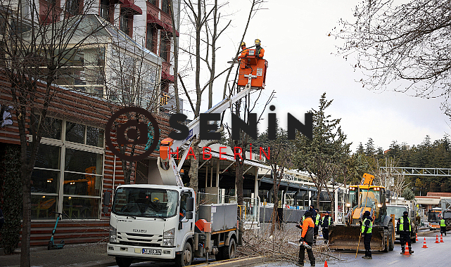 Eskişehir Merkezde Bulunan Ağaçlar Budandı.