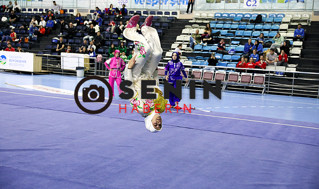 Üniversiteler arası Wushu heyecanı Sakarya’da