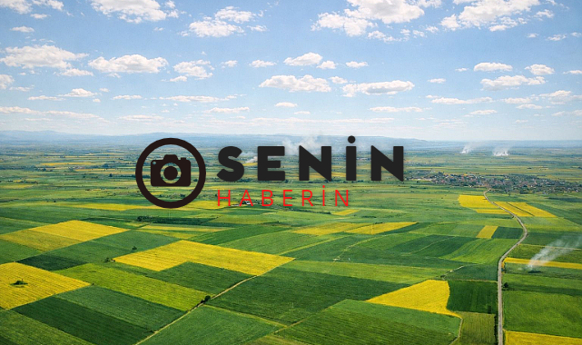 Alpu Termik Santrali Danıştaydan Döndü