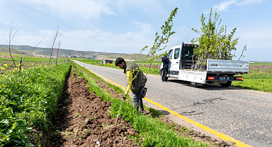 Batmanda 7 Köy Yolu 3 300 Meyve Fidanı İle Buluştu