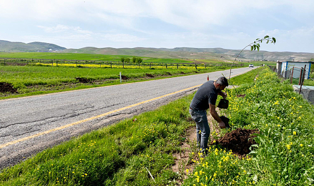 Batmanda 7 Köy Yolu 3 300 Meyve Fidanı İle Buluştu