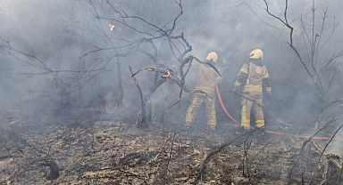 Orman Yangınları Erken Başladı