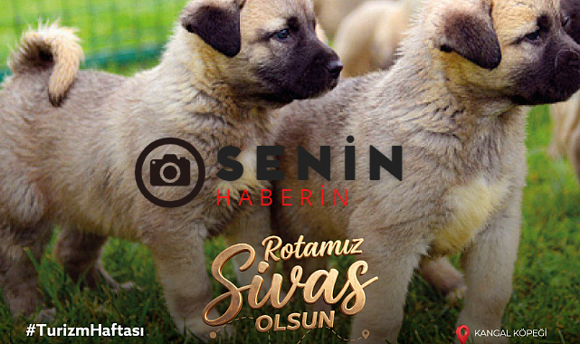 Turizm Haftasında Sivas Valiliği Rotamız Sivas Etkinliği Başlattı.