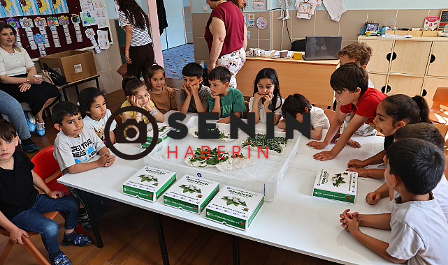 Antalyada Çocuklar okullarda ipekböceği yetiştirecek