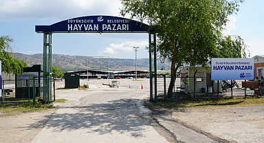 Eskişehirde Hayvan Satış Yer Satışı Başladı.