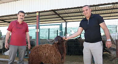 İnegöl Modern Hayvan Pazarı Kurban Bayramı'nda Yüzleri Güldürdü