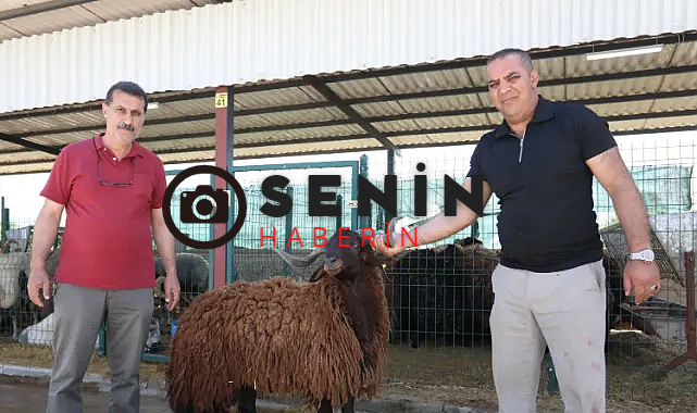 İnegöl Modern Hayvan Pazarı Kurban Bayramı'nda Yüzleri Güldürdü