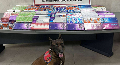 Sakarya Jandarma Ekipleri Erenler, Karasu ve Sapanca ilçelerinde Bol Miktarda Tütün Ürünleri Ele Geçirdi.