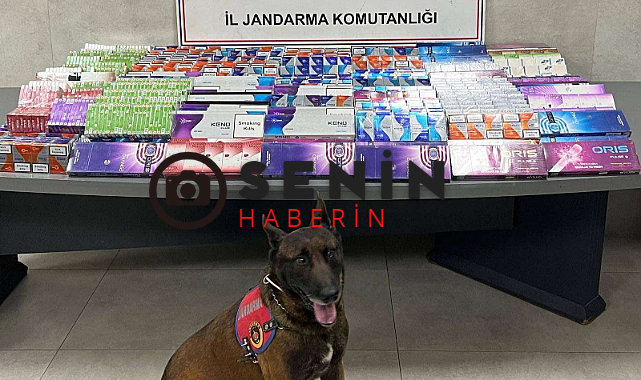 Sakarya Jandarma Ekipleri Erenler, Karasu ve Sapanca ilçelerinde Bol Miktarda Tütün Ürünleri Ele Geçirdi.
