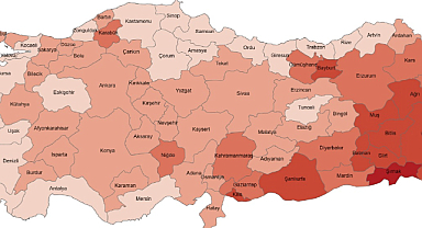 Türkiye nüfusunun %14,8'ini genç nüfus oluşturdu