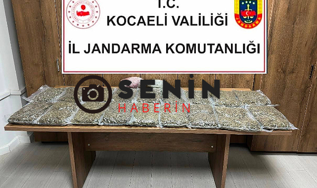 Kocaeli Jandarma TEM Oto Yol Gişesinde Durdurulan Araçta 10 Kilo Skunk Ele Geçirildi