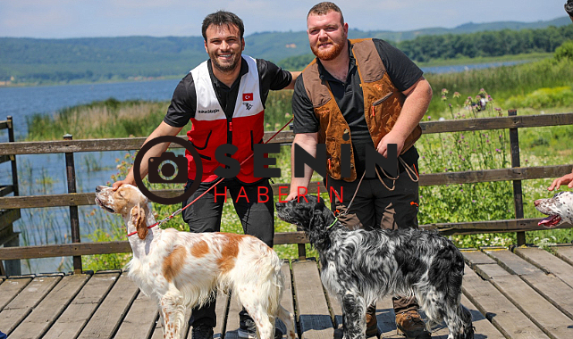 Sakarya Ferizli’de Geleneksel Av Köpekleri Yarışması Büyük Akgöl’de Gerçekleştirildi
