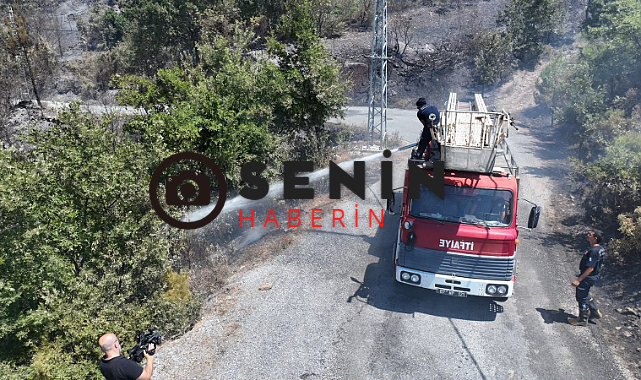 Antalya Büyükşehir İtfaiyesi Alanya yangınına destek veriyor