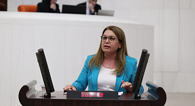 CHP Denizli Milletvekili Gülizer Biçer Karacadan Dost Kazığı.