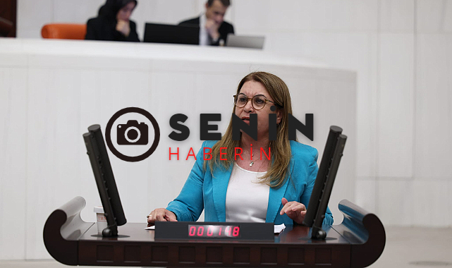 CHP Denizli Milletvekili Gülizer Biçer Karacadan Dost Kazığı.