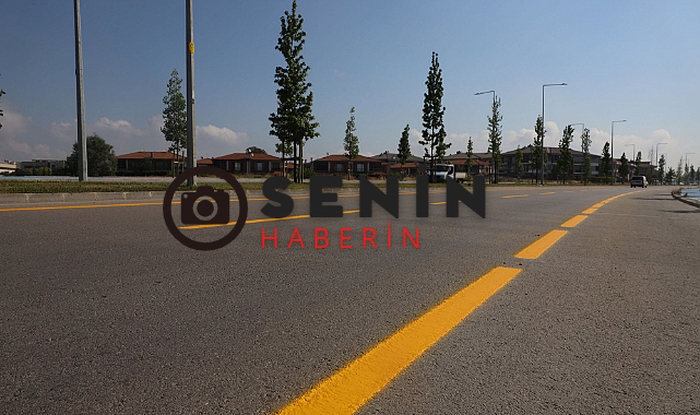 Sakarya Büyükşehir Şehirdeki Yol Çizgilerini Yeniledi.