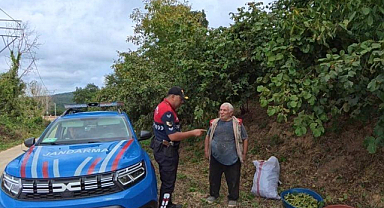 Kocaeli Jandarma Fındık Hırsızlarını Dronla Yakalayacak