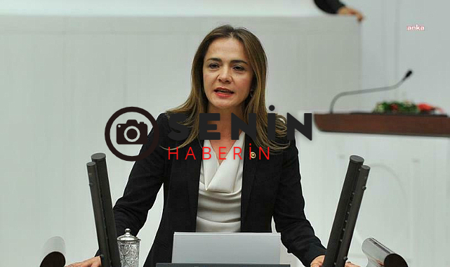 CHP Genel Başkan Yardımcısı Gamze Akkuş Oto Yolların Özelleştirilmesi Kar Kapısı Dedi.