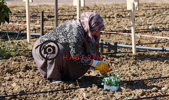 Yalova'da Kadınlar Kent Bostanını Başlattı